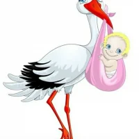 МАДОУ "Детский сад №43" г.Стерлитамак РБ