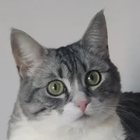 Тестовый канал