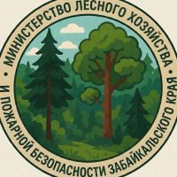 Минлес Забайкалья