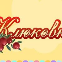 МБДОУ ДЕТСКИЙ САД КОМБИНИРОВАННОГО ВИДА √172 "КЛЮКОВКА"