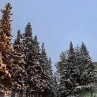 Михайловский сельсовет