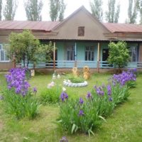 МБДОУ ДС № 17 с. Привольное