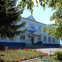 МБОУ " Ладомировская СОШ"