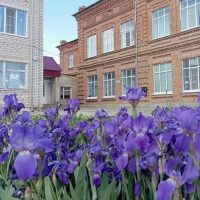 МКОУ,, Царевская СОШ "