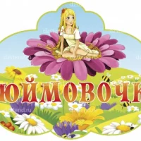 МБДОУ д/с №381"ДЮЙМОВОЧКА"