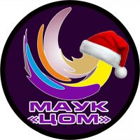 МАУК "Центр по организации городских культурно-массовых мероприятий"