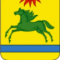 Аргаяш. Официально