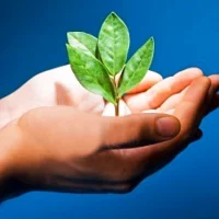 МБУ "ППМС центр" города Кузнецка