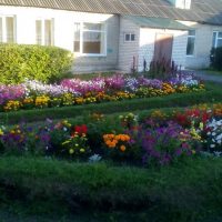 Основная школа с. Лебяжье Измалковского округа Липецкой области