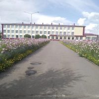 Марьяновская школа №1