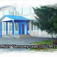 Белоомутская школа №1, м.о. Луховицы