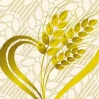 Администрация Верх-Ирменского сельсовета Ордынского района Новосибирской области