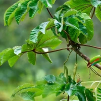 Робот информирования