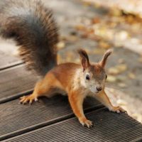 МАУК «Наследие»