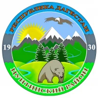 Цунтинский район