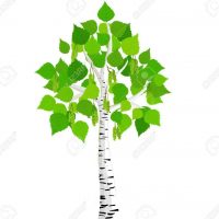 МБДОУ Машуковский детский сад "Березка"