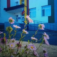 ГБОУ ЛНР "Веселовский УВК"