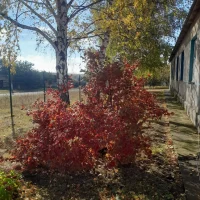 МДОУ детский сад х. Леоновка