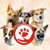 Приют для животных без владельцев г. Красноуфимск