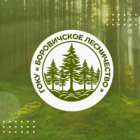 ГОКУ "Боровичское лесничество"