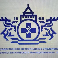 ГБУ НО Госветуправление Дальнеконстантиновского муниципального округа