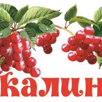 МАДОУ  "Калинка"