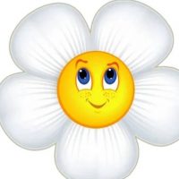 ГБУ ДОО ЗО "Нововодянский детский сад "Ромашка" Каменско- Днепровский район