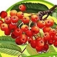 МАДОУ д/с № 40 г.Сарапул