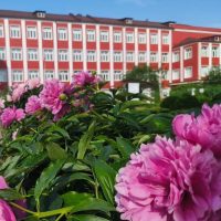 Школа № 5, Орехово-Зуевский городской округ