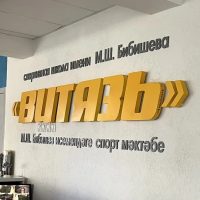 Витязь рабочий чат