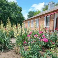 МДОУ Детский сад № 5 "Ивушка"