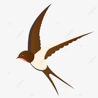 Детский сад № 103 "Ласточка"