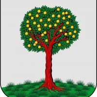 Муниципальный совет г. Ломоносова