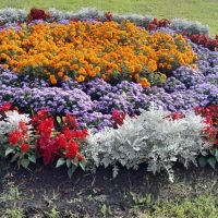 Кораблинский краеведческий музей