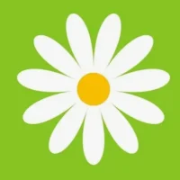 Канал МБДОУ Д/С № 17 "Ромашка"