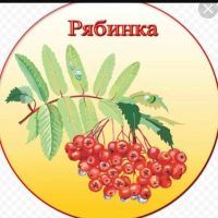 МБДОУ детский сад №4 "Рябинка" Каменского района