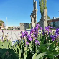 Администрация Мироновского МО Питерского МР Саратовской области