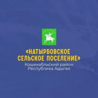 Администрация МО "Натырбовское сельское поселение"