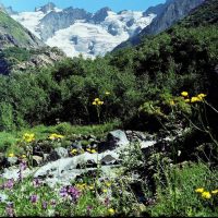 Администрация Джингирикского сельского поселения