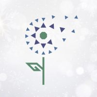 Корпоративный университет Правительства НСО