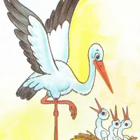 ГБДОУ детский сад № 80 Калининского района Санкт-Петербурга