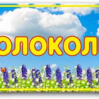 МБДОУ Колодезянский д/с