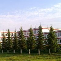 МБОУ КАЛИНИНСКАЯ СОШ