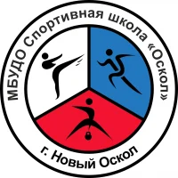Спортивная школа «Оскол» г. Новый Оскол