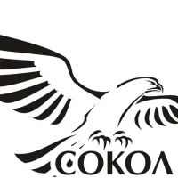 МБДОУ "Сокол" Новофедоровка Сакский р-н Республика Крым