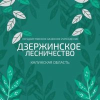 ГКУ КО «Дзержинское лесничество»