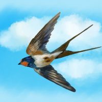 Аллинский детский сад "Хараасгай "