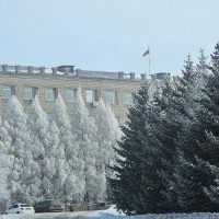 Лесозаводский муниципальный округ