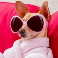 Вокруг банок