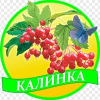 МАДОУ МО г. Краснодар "Детский сад 184"